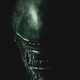 Image for article titled The First Alien: Covenant Poster Is Simple and Scary